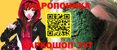 сатива Бийск