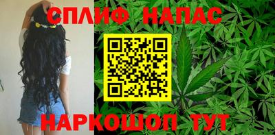 сатива Бийск