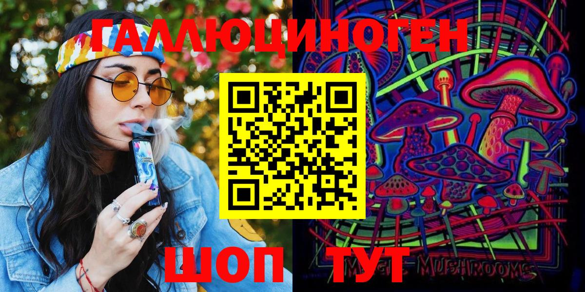 Псилоцибиновые грибы Psilocybine cubensis Гатчина