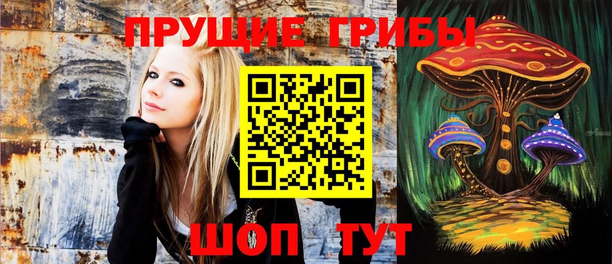 Псилоцибиновые грибы Magic Shrooms  Вход с VPN  Гатчина  Псилоцибиновые грибы ЛСД 
